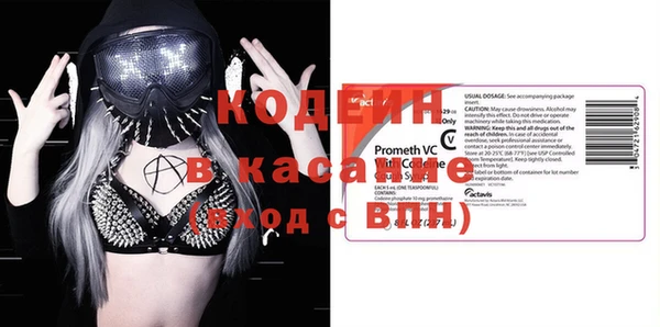 хмурый Белокуриха