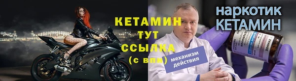 стаф Новодвинск
