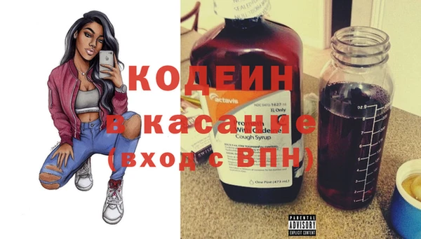 хмурый Белокуриха